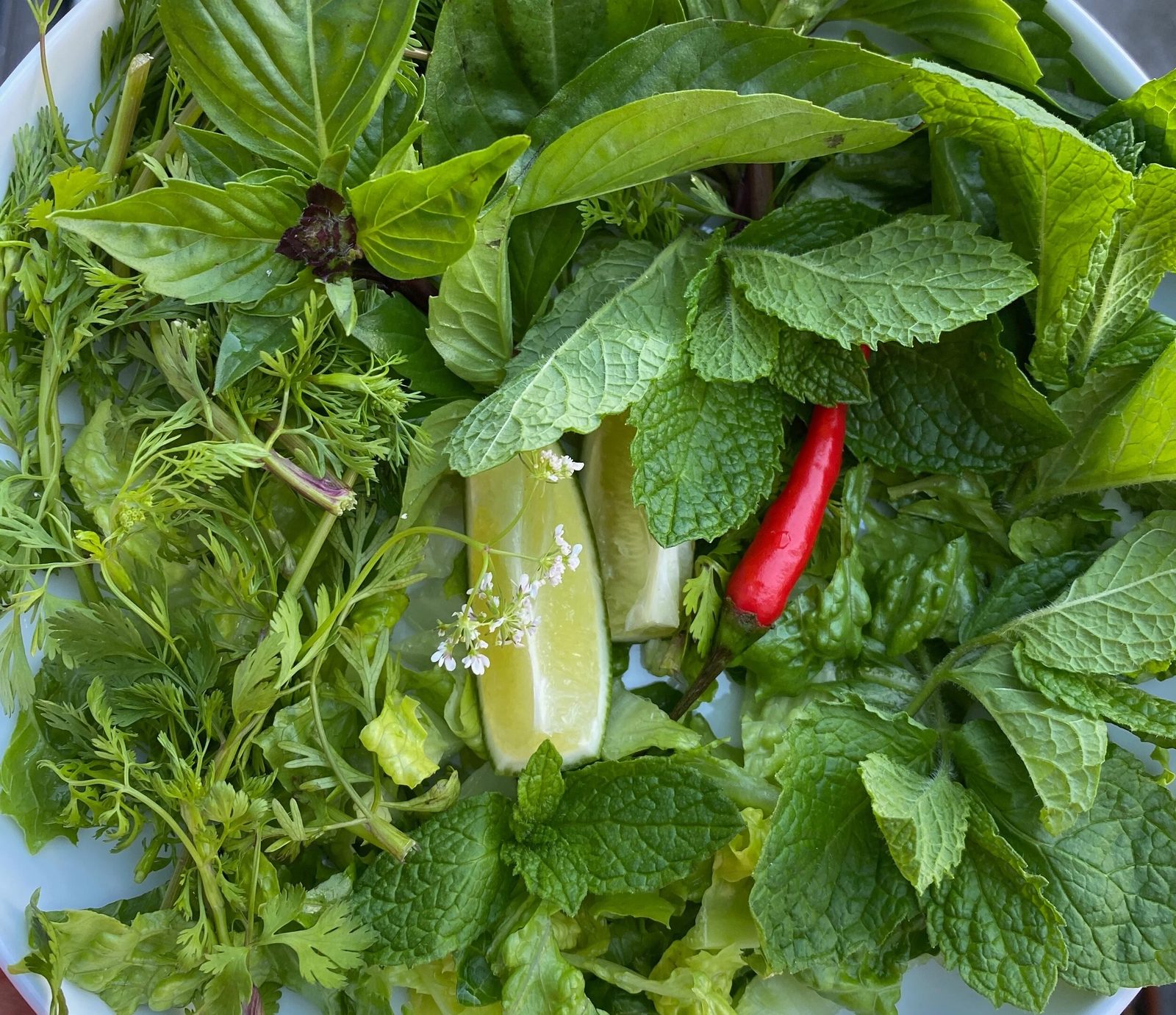 Sabzi Khordan